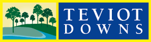 teviot downs logo - brisbane land for sale